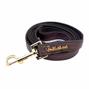 Grizzly brown leash with hands-free extension