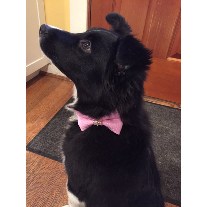 Rosie bow tie