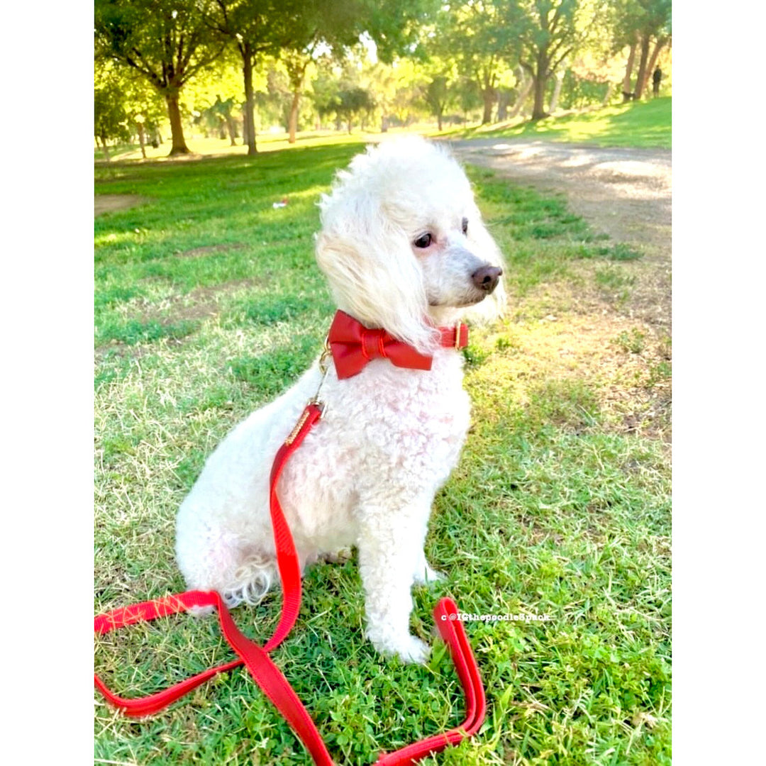 Cherry red bow tie