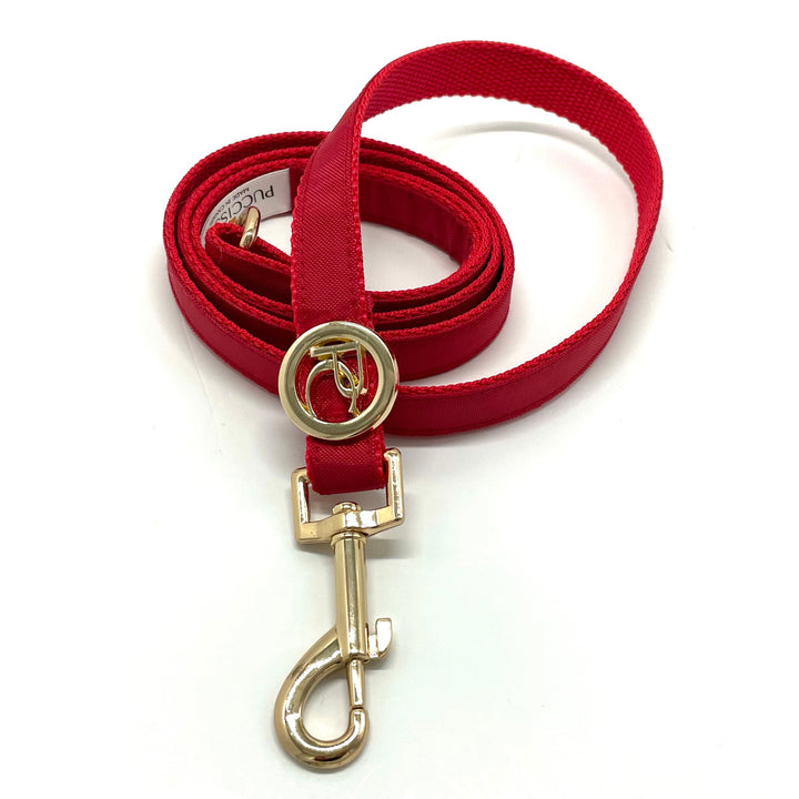 Red Rain matching leash