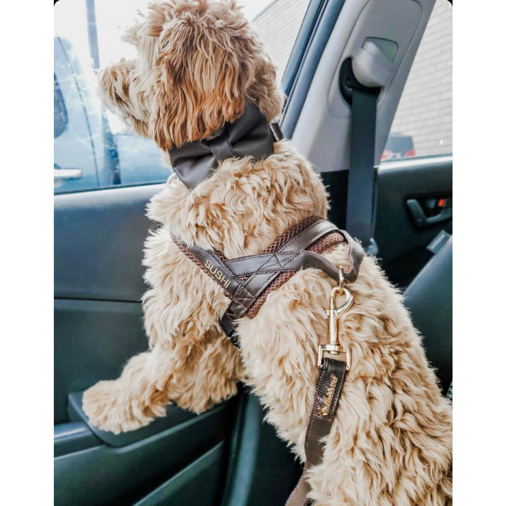 Puccissime Grizzly brown luxury vegan leather dog accessories matching set. Norwegian one click no pull no choke no mat easy wear dog harness, dog collar bow tie and dog leash. MADE IN CANADA.