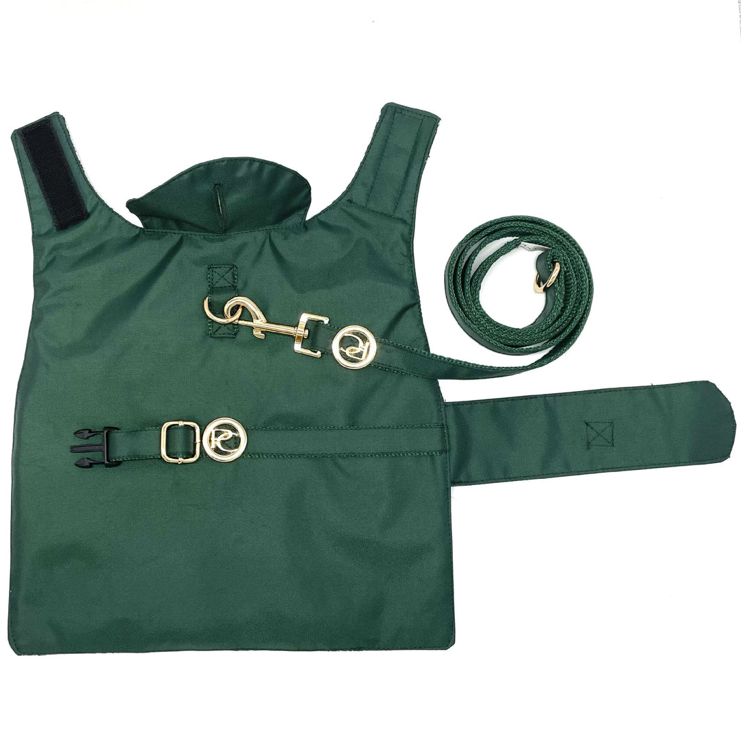 Green Rain matching leash