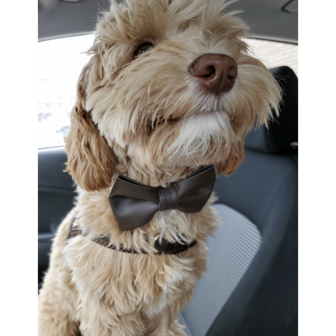 Puccissime Grizzly brown luxury vegan leather dog accessories matching set. Norwegian one click no pull no choke no mat easy wear dog harness, dog collar bow tie and dog leash. MADE IN CANADA.